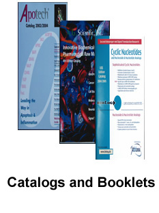 Catalogs